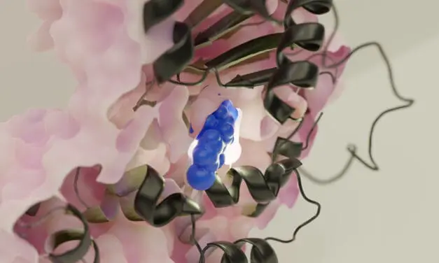 Forschungsteam stellt neuen Pathoblocker gegen Salmonelleninfektion vor