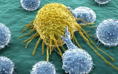 MHH: Erfolgreiche CAR-T-Zelltherapie bei erworbener Hämophilie A
