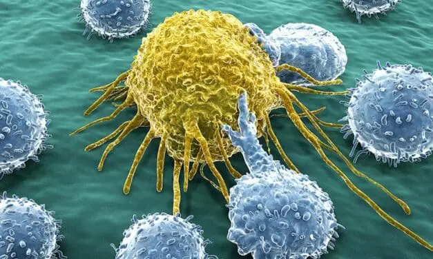 MHH: Erfolgreiche CAR-T-Zelltherapie bei erworbener Hämophilie A