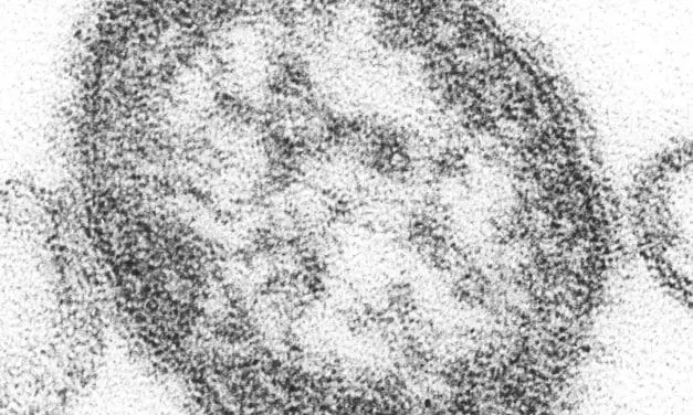 Masern: Impflücken bei Kleinkindern alarmieren Krankenkassen