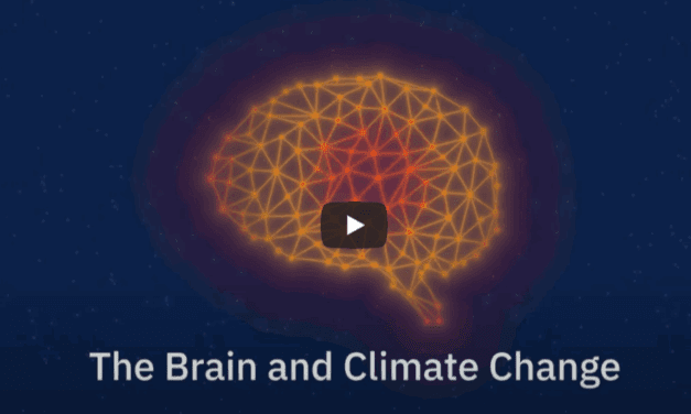 One Health: Klimawandel bedroht drei Milliarden Menschen mit neurologischen Erkrankungen