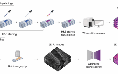 Histopathologie: Bahnbrechende 3D-Technologie revolutioniert Krebsdiagnostik