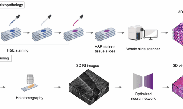 Histopathologie: Bahnbrechende 3D-Technologie revolutioniert Krebsdiagnostik
