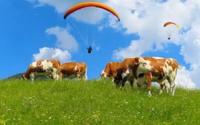 Labormedizin auf der Alm: Präzision für die Gesundheit in den Alpen