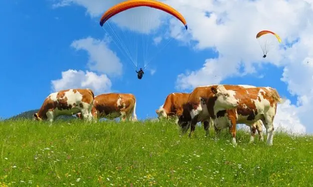 Labormedizin auf der Alm: Präzision für die Gesundheit in den Alpen