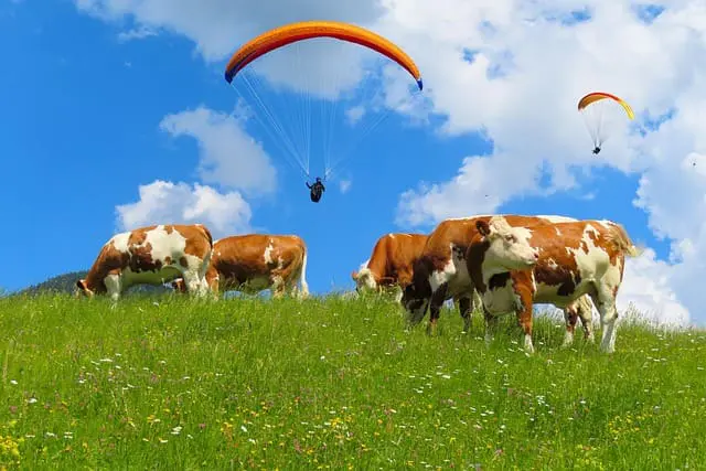 Labormedizin auf der Alm. Symbolbild. Credits: Pixabay