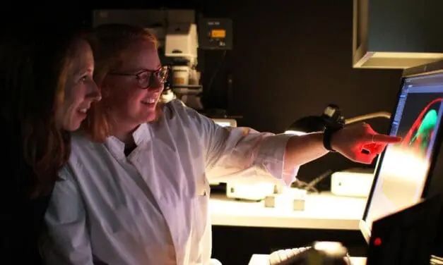 Kieler Forschende entschlüsseln mikrobiellen Infektionsschutz bei Fadenwürmern