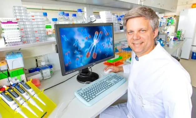 Zentromere und Immunität: Neue Erkenntnisse für verbesserte Therapien