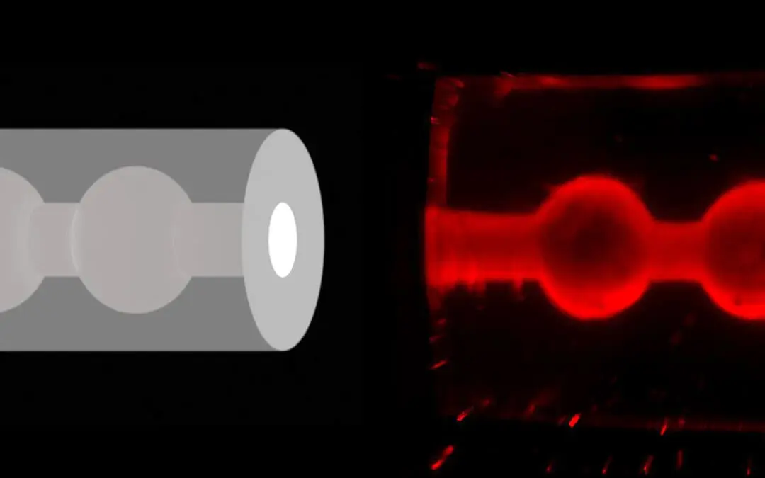 Bioprinting: ETH Zürich entwickelt 3D-Brustgewebemodell zur Erforschung der Muttermilchbildung