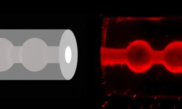 Bioprinting: ETH Zürich entwickelt 3D-Brustgewebemodell zur Erforschung der Muttermilchbildung