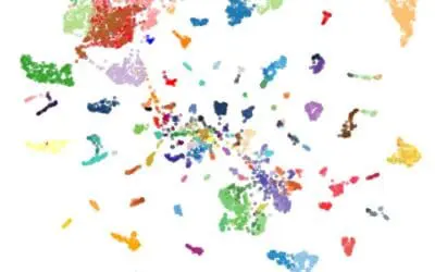 Diagnostik: Neues KI-Modell erkennt mehr als 170 Krebsarten