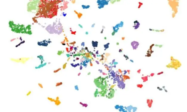 Diagnostik: Neues KI-Modell erkennt mehr als 170 Krebsarten