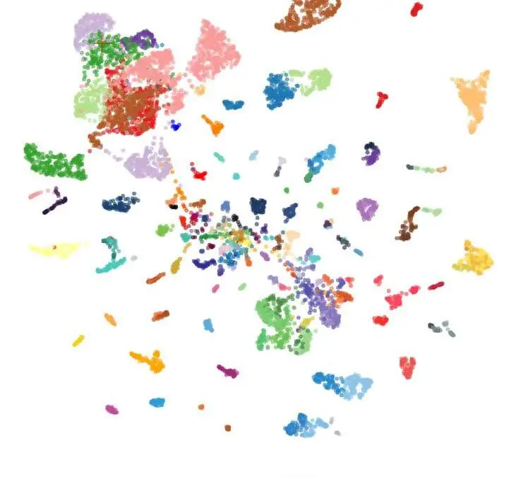 Diagnostik: Neues KI-Modell erkennt mehr als 170 Krebsarten