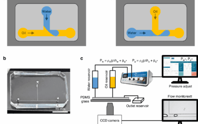 Tröpfchen auf Abruf: Bahnbrechender Weg zur Beherrschung der Mikrofluidik