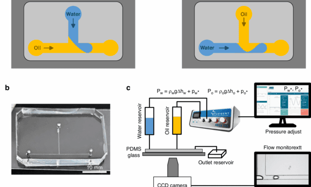 Tröpfchen auf Abruf: Bahnbrechender Weg zur Beherrschung der Mikrofluidik