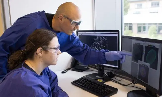 Neue Ansätze gegen Viren: Forschungsteam entwickelt vielversprechende Wirkstoffkandidaten