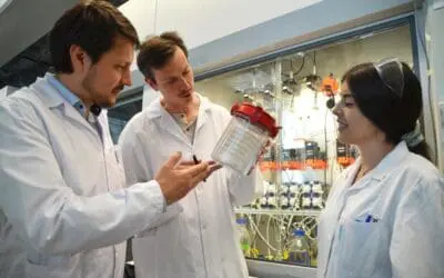 Gentechnisch verändertes Bakterium T. kivui kann Kohlenmonoxid verwerten