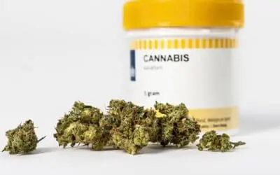 Bundesapothekerkammer warnt vor Cannabis-Bezug über Online-Plattformen