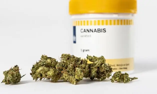 Bundesapothekerkammer warnt vor Cannabis-Bezug über Online-Plattformen