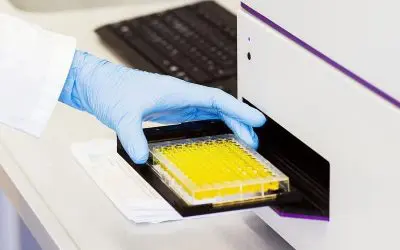 Beta-Carotin als Schlüssel gegen Enzymhemmung ausgemacht