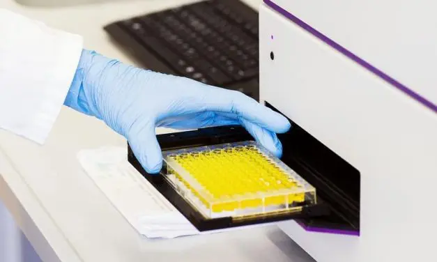 Beta-Carotin als Schlüssel gegen Enzymhemmung ausgemacht