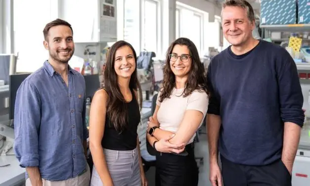 Neue Erkenntnisse zur Bewegung von Immunzellen durch komplexe Gewebe