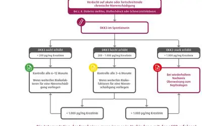 DKK3 im Urin: Frühwarnsystem der Nierenschädigung