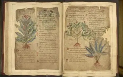 Medizinische Innovationen aus dem Mittelalter feiern digitales Comeback