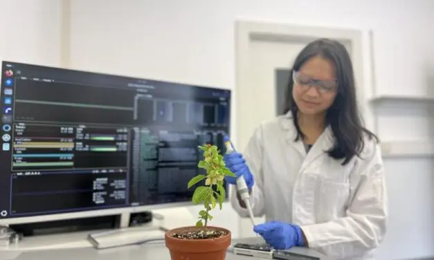 Withanolide: Durchbruch bei der Entschlüsselung pflanzlicher Steroidbildung