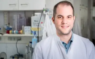 TWINCORE: Forschende entschlüsseln Immunkoordination im Gehirn