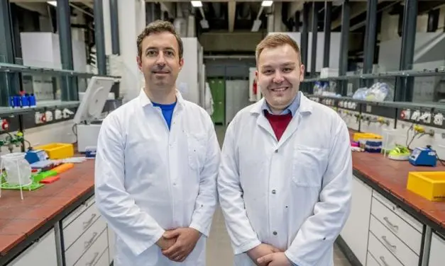 Wirkstoffkomplex revolutioniert Krebsbekämpfung: Immunsystem lernt, Metastasen zu zerstören