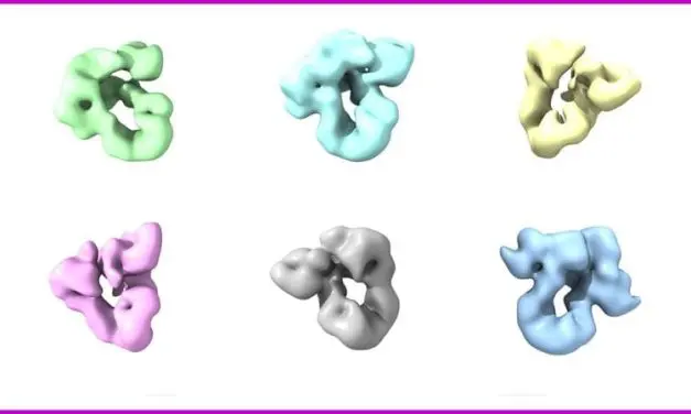 Zentraler Mechanismus der Proteinfaltung entschlüsselt