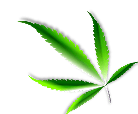 Pilotstudie deutet auf Anstieg cannabisinduzierter Psychosen nach Legalisierung hin