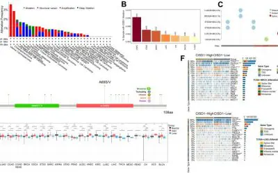 Neue Studie macht CISD1 als vielversprechenden Biomarker für Krebsdiagnostik und Therapie aus