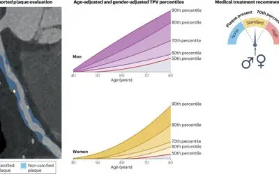 Neue Empfehlungen zur individualisierten Behandlung von Arterienverkalkungen durch KI-gestützte CT-Analyse