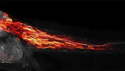 Pythia revolutioniert präzise Gen-Editierung mit KI-Unterstützung