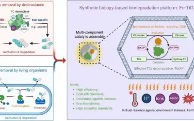 FerTiG: Innovatives Verfahren für den Antibiotika-Abbau in Gewässern