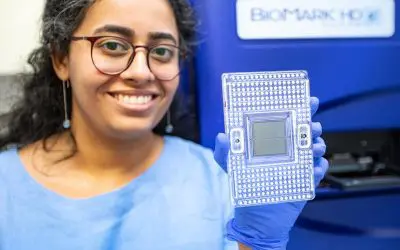 Internationale Studie der MHH identifiziert neue Risikofaktoren für Endometriumkarzinom