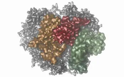 Neue Einblicke in molekulare Maschinen durch biophysikalische Methoden