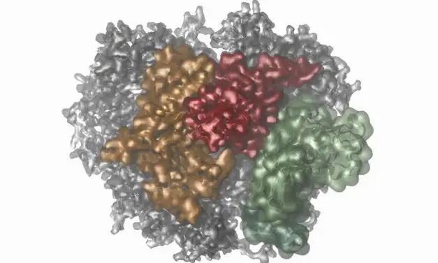 Neue Einblicke in molekulare Maschinen durch biophysikalische Methoden