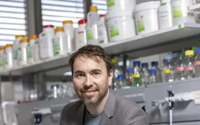 TU Graz entwickelt Methode zur präzisen Gestaltung künstlicher Proteine