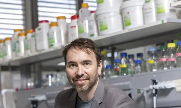 TU Graz entwickelt Methode zur präzisen Gestaltung künstlicher Proteine