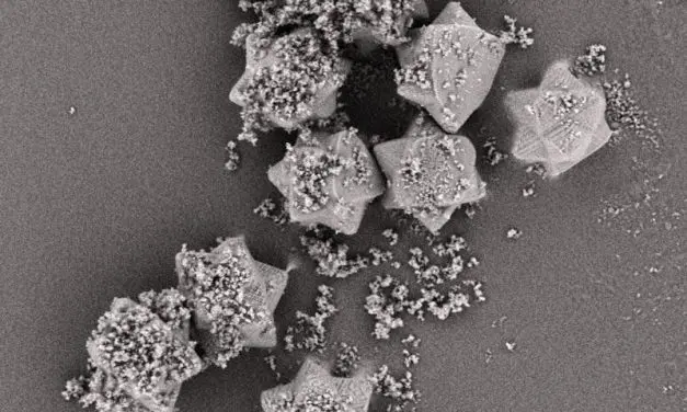 Neue Trägerpartikel verbessern Inhalationsmedikamente