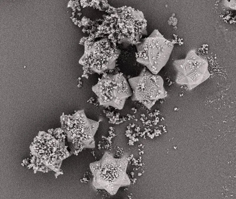 Neue Trägerpartikel verbessern Inhalationsmedikamente