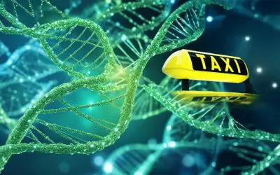 Zweite EU-Förderung für Gentherapie gegen Usher-Syndrom