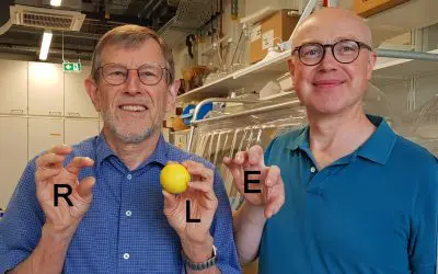 Spiegelbild-Aminosäure hemmt gezielt Krebszellen