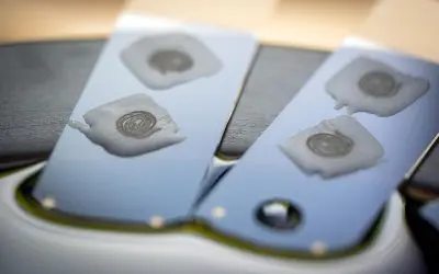 Darm-Mikrobiom kann Krebs fördern