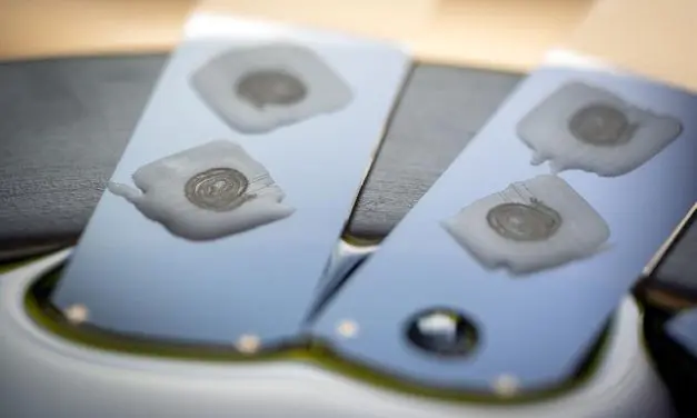 Darm-Mikrobiom kann Krebs fördern