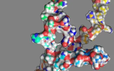 Mutation im NOTCH1-Gen beeinflusst aggressiven Verlauf von Blutkrebs