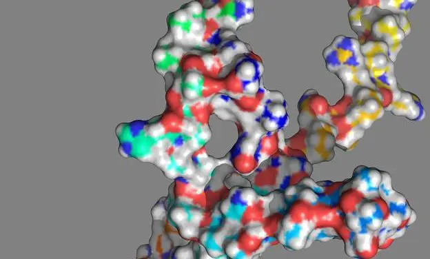 Mutation im NOTCH1-Gen beeinflusst aggressiven Verlauf von Blutkrebs